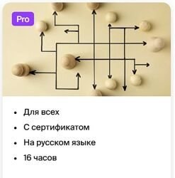 Современные организации / Ленар Юнусов