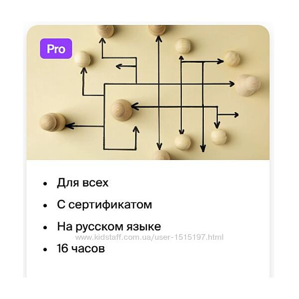 Современные организации / Ленар Юнусов