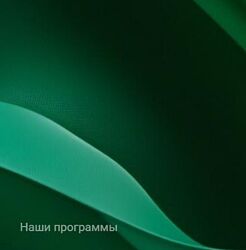 Основы современной психосоматики. 2 триместр / Виталина Чибис