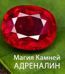 Магия камней Адреналин / Анна Гак