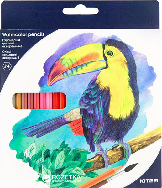 Олівці кольорові акварельні Kite Птахи 24 кольори