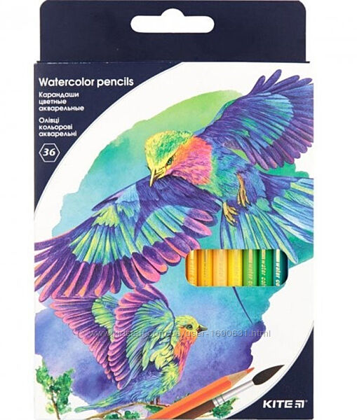 Олівці кольорові акварельні Kite Птахи 36 кольорів