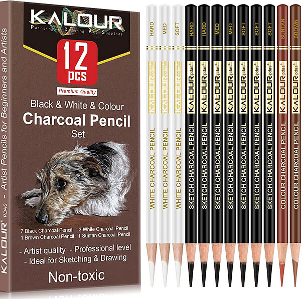 Професійні вугільні кольорові олівці 12 штук KALOUR