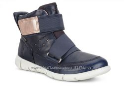 #5: 27р,34р,35рр