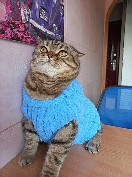 Теплый свитер для собаки, жилетка, безрукавка для кота или кошечки