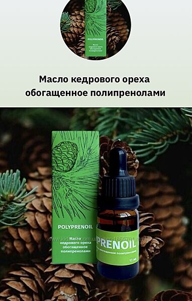 Полипренолы  в  наличии