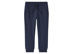 Спортивні штани джоггери двунитка для хлопчика Lupilu 498018 темно-синій