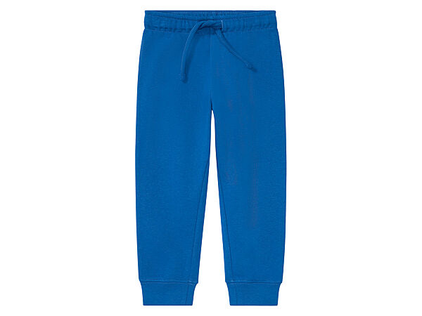 Спортивні штани джоггери бавовняні з начосом для хлопчика Lupilu 370790 синій
