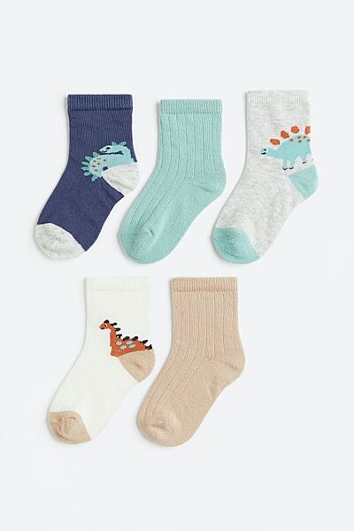 Шкарпетки набір 5 пар. для хлопчика H&M 1075330-012 Різнобарвний
