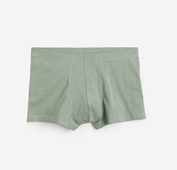 Труси -боксери для чоловіка H&M 0564309 зелений