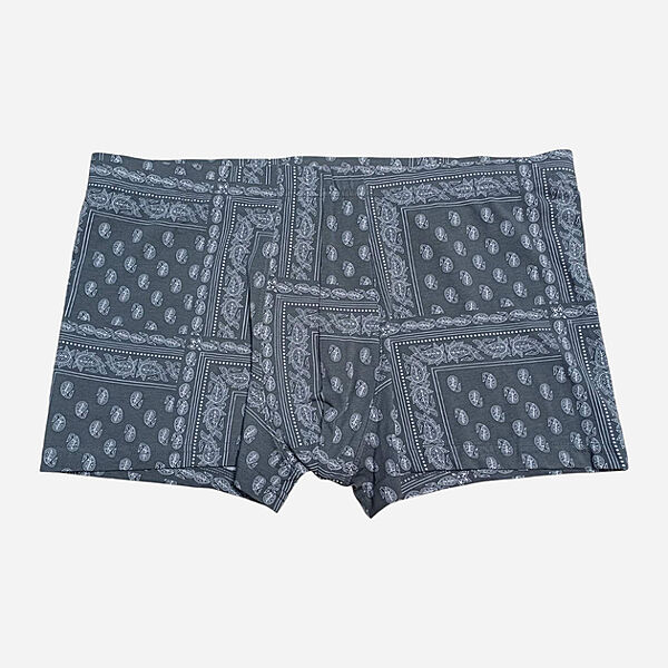 Труси -боксери для чоловіка H&M 0564310068 сірий