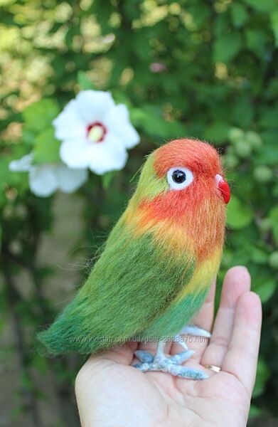 Неразлучник папуга іграшка валяна попугай зшерсті інтерєрна птичка хендмєйд