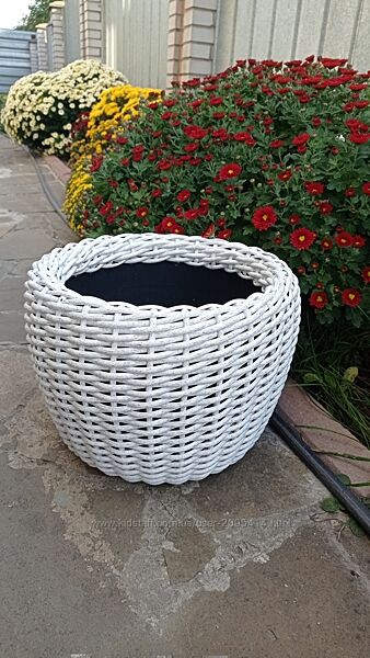 #2: Береза
