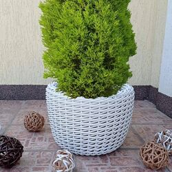 #1: Світло-сірий 