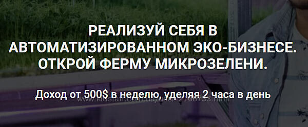 Как открыть прибыльную ферму микрозелени Иван Воробьев