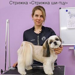  Салонный груминг ши-тцу Азбука Груминга