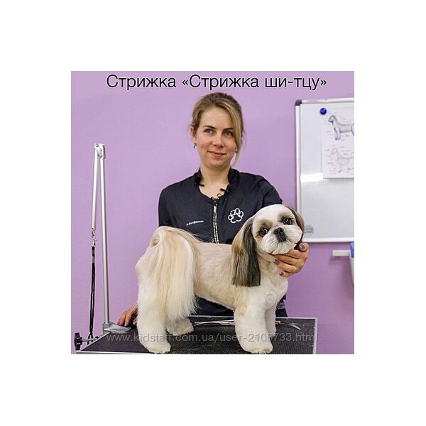  Салонный груминг ши-тцу Азбука Груминга