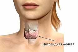 Татьяна Изнова Как сохранить здоровье щитовидной железы у детей от 0 до 18