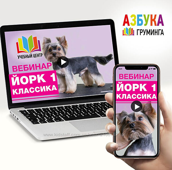Стрижка Йорка для начинающих Дарья Казимова Азбука Груминга