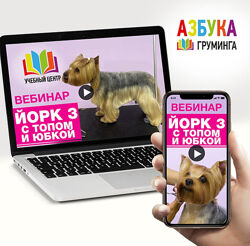  Стрижка Йорка. С топом и юбкой Дарья Казимова  Азбука Груминга