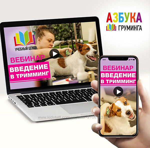 Тримминг для начинающих Ксения Селезнёва Азбука Груминга