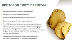 Протокол ЖКТ Премиум 2024 Светлана Литвиненко