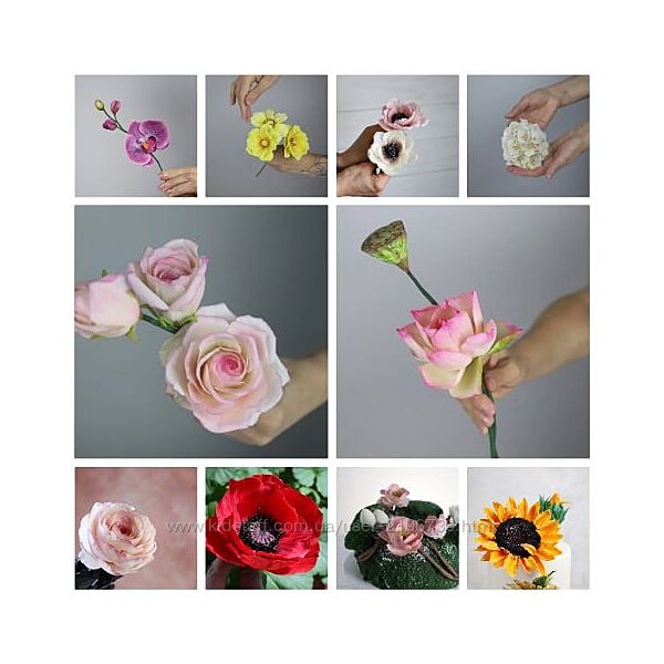 Полный сборник Цветы из пластичного шоколада  Бонусы Даяна Лус