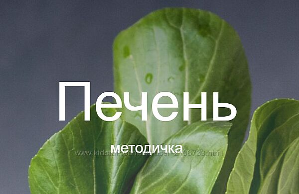 Методичка печень Валентина Жукова