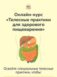 Телесные практики для здорового пищеварения Аркадий Сыркин, Наиля Самсонов
