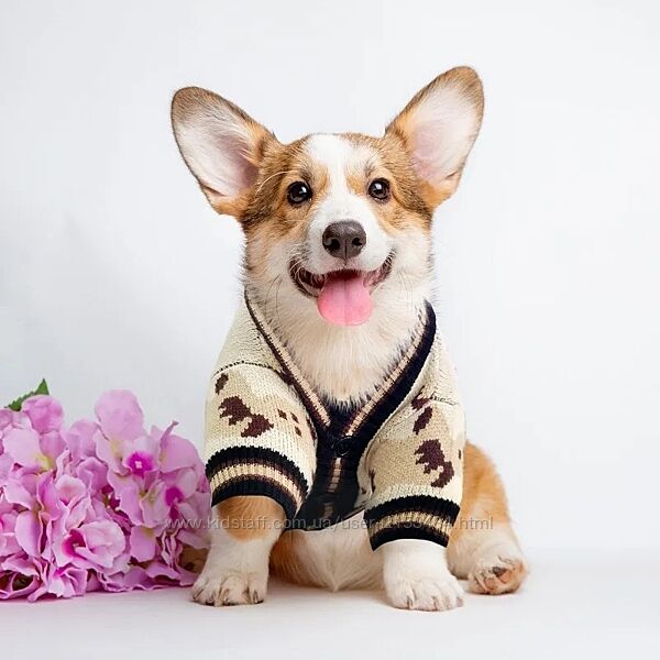 Трикотажний светр кофта для малих порід собак, кішок