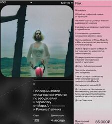 HD 8.0. Курс-наставничеств по веб-дизайну и заработку. Тариф Pink М Лебе де