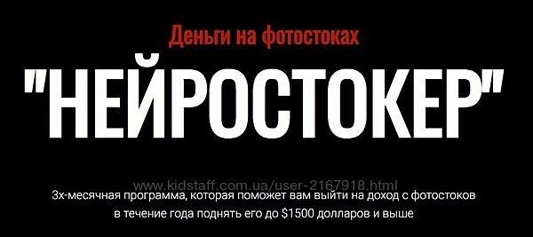 Василиса Баранова - Деньги на фотостоках Нейростокер. Тариф Стандарт 2024