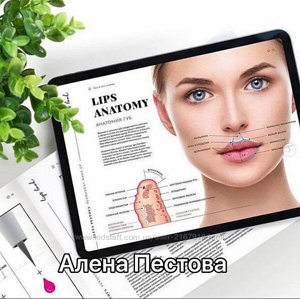 Gubexi  самый полный курс по перманентному макияжу губ. Пакет Расширенный
