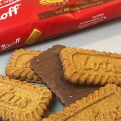 #6: З бельгійським шок