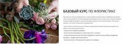  Базовый курс по флористике Екатерина Андрюкова