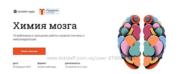 Химия мозга 2021 Вячеслав Дубынин