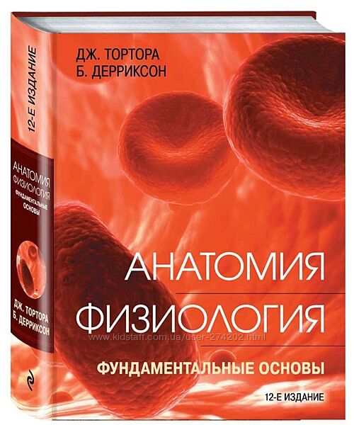 Анатомия. Физиология. Фундаментальные основы Джерард Тортора Брайан Деррик