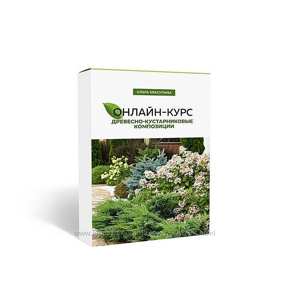 Древесно-кустарниковые композиции Ольга Красулина