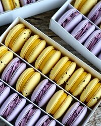 14 начинок для макарон Альмира Нуриева