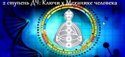 Ключи к механике человека - 2. Пакет Стандарт Анна Ролева, Вероника Юрина