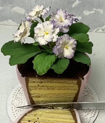 МК 3D торт Фиалки в горшкеЕлена Сапожникова