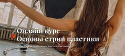  Стрип пластика. Основы Ольга Ягодницына