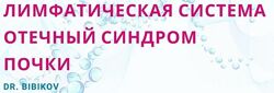  Лимфатическая система. Отечный синдром. Почки Аркадий Бибиков