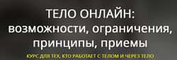  Тело онлайн возможности, ограничения, принципы, приемы Тело в дело