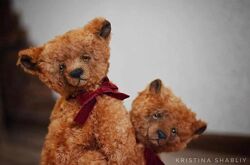 Медведь Ромео Кристина Шаблий