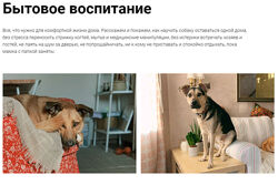 Бытовое воспитание Надя Пигарева, Оксана Тюльпинова