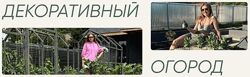 Анна Акинина 16 разных  Декоративный огород Хвойные растения Плодовые дерев