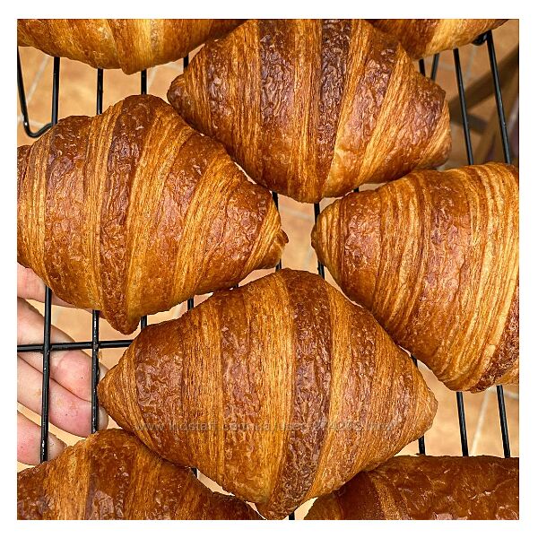 Курс по круассанам Екатерина Алексеенко katyaalex77