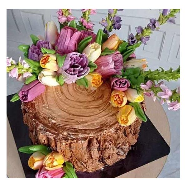 Курс Весна Виталия Сейдаметова