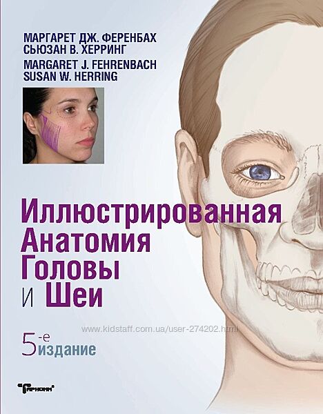 Иллюстрированная анатомия головы и шеи. 5-е издание Susan Herring, Margare